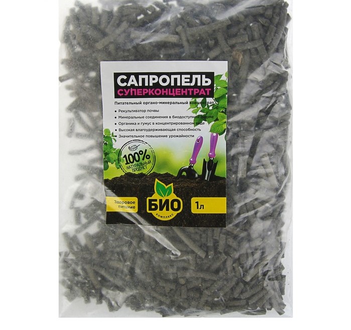 Изображение загружено