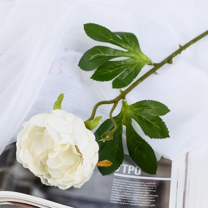 Изображение загружено