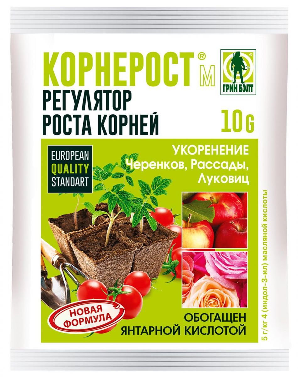 Изображение загружено