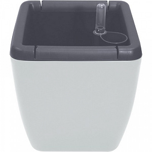 Изображение загружено