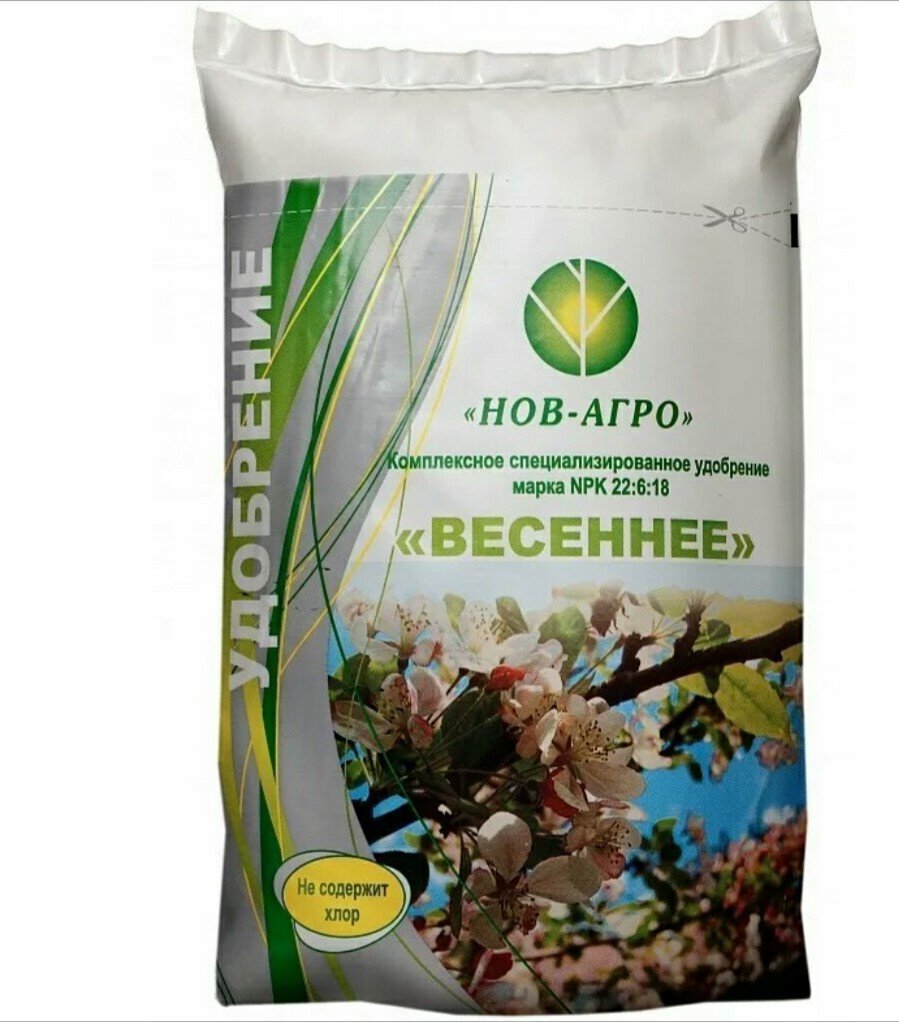 Изображение загружено