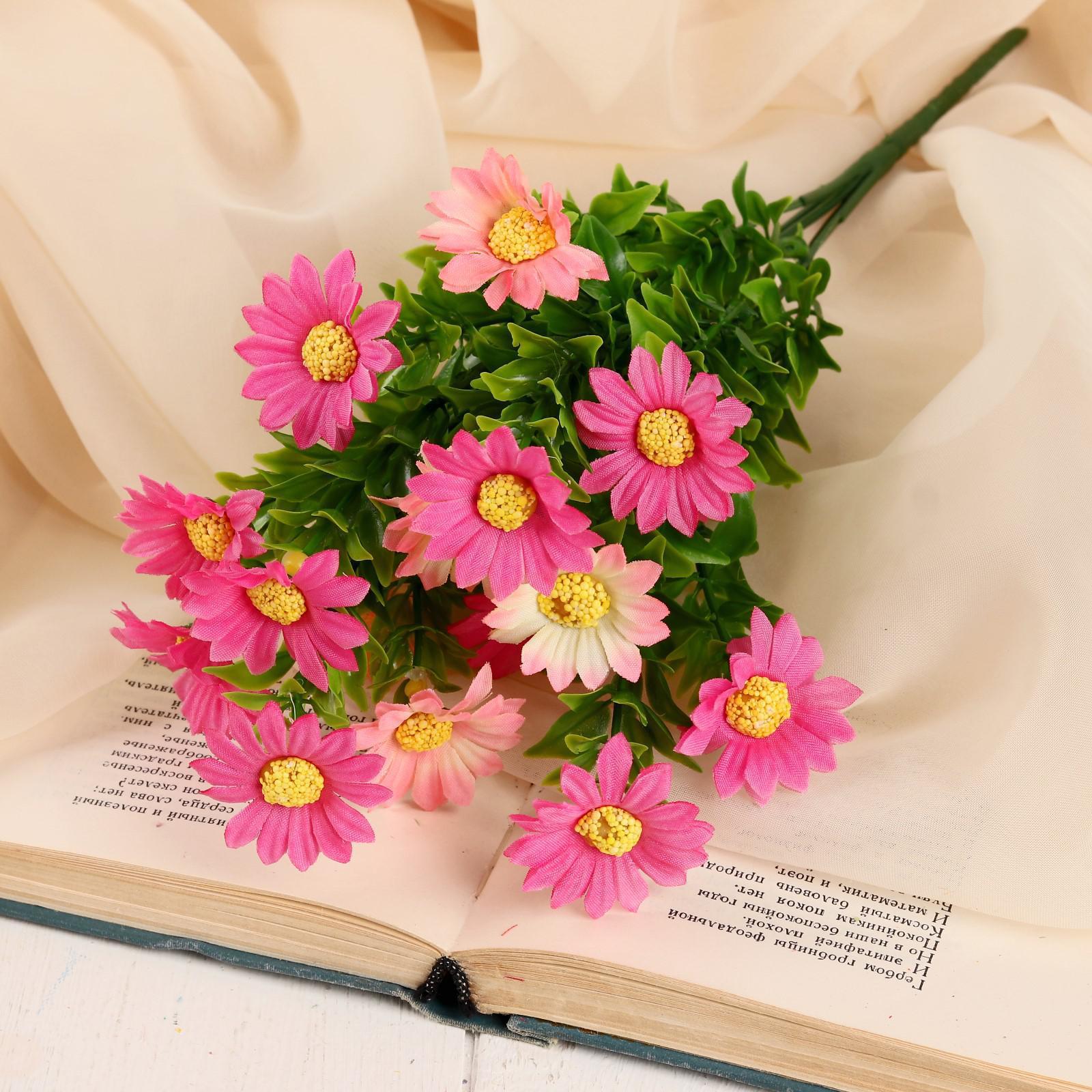 Изображение загружено