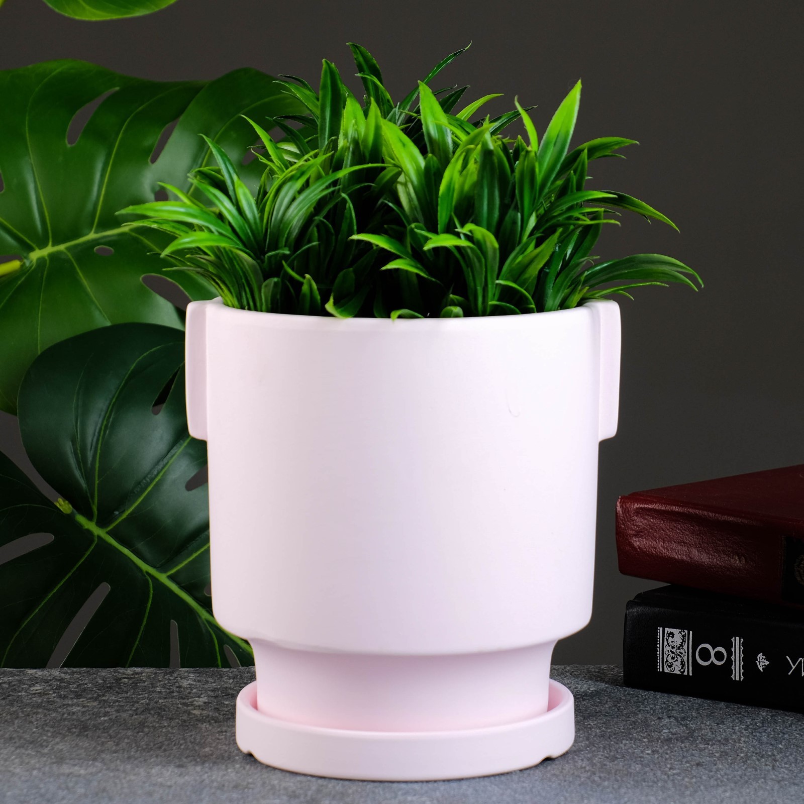 Изображение загружено