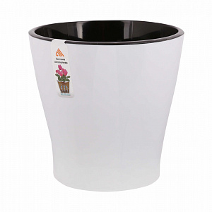 Изображение загружено