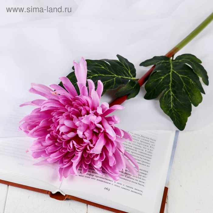 Изображение загружено