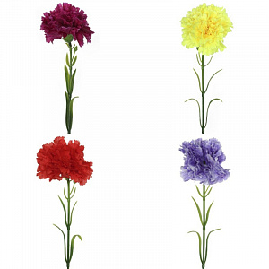 Изображение загружено