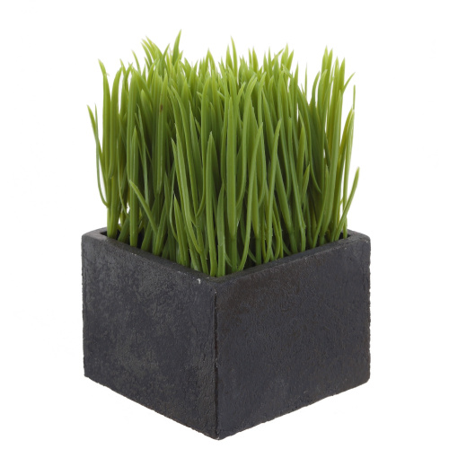 Изображение загружено