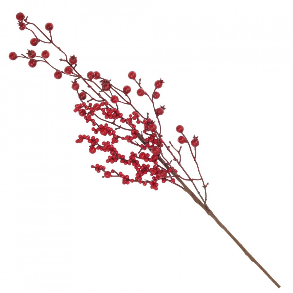 Изображение загружено