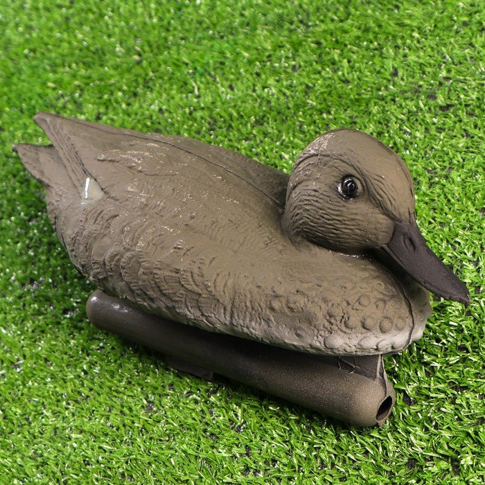 Изображение загружено