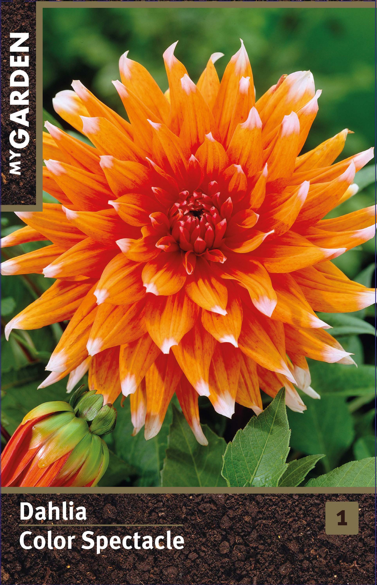 Изображение загружено