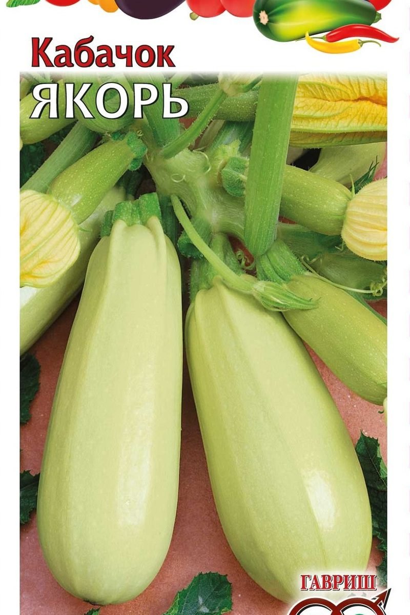 Изображение загружено