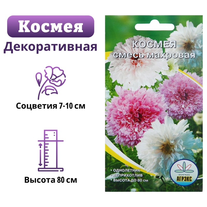 700 - 2025-03-17T110006.035