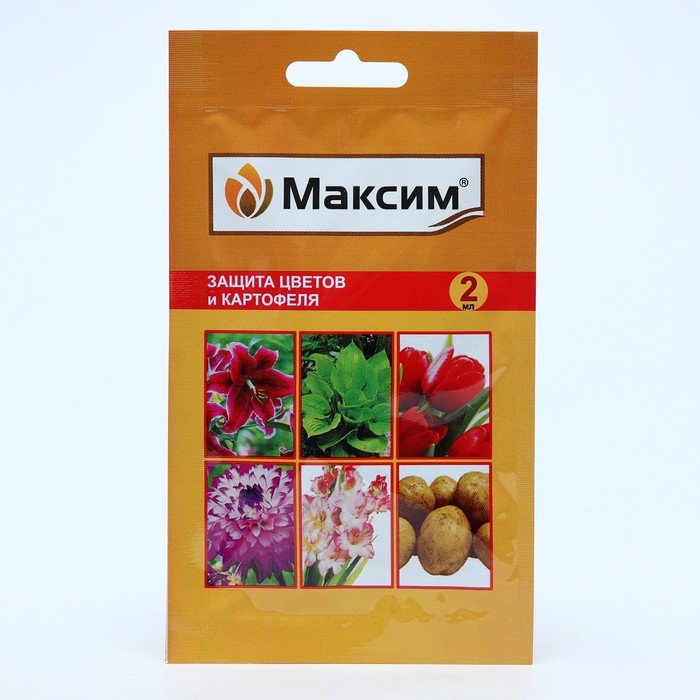 Изображение загружено