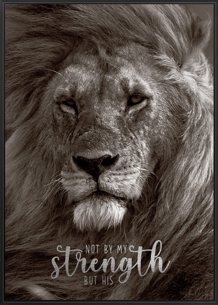 220983XCCY Постер Strength 50х70х3см