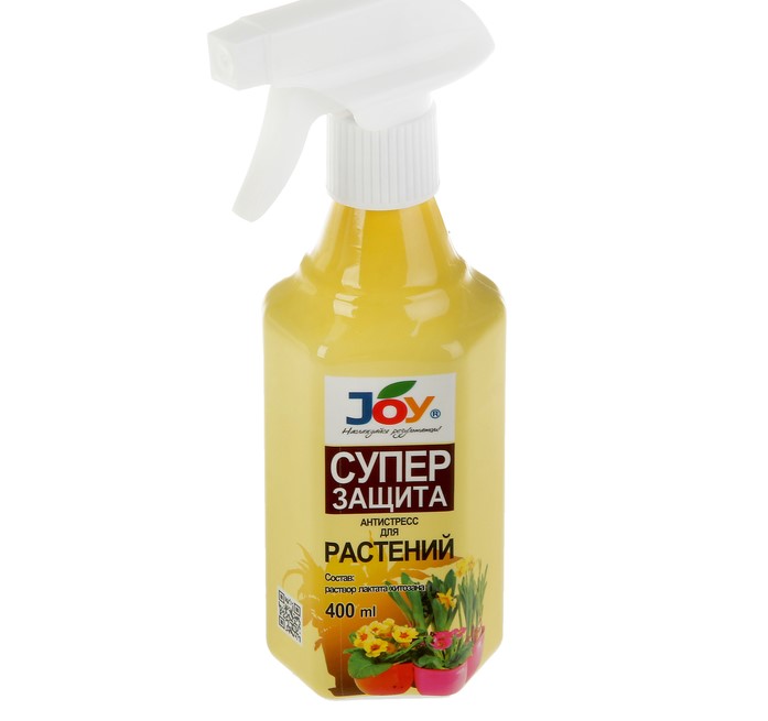 Изображение загружено