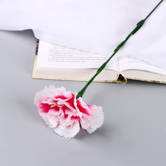 Изображение загружено