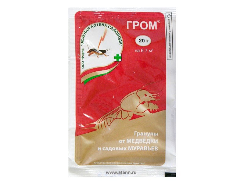 Изображение загружено