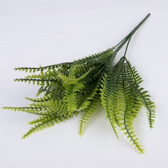 Изображение загружено