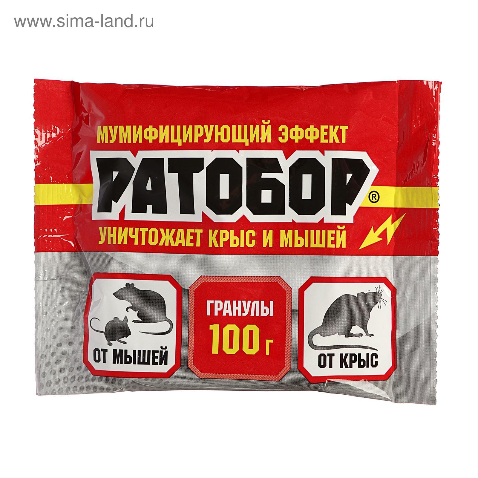 Изображение загружено