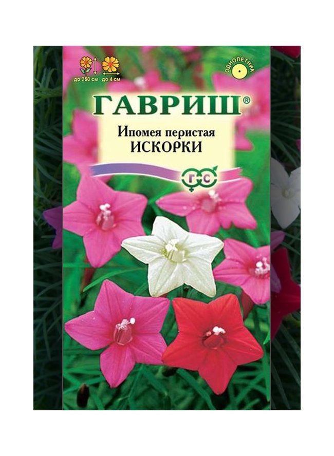 Изображение загружено