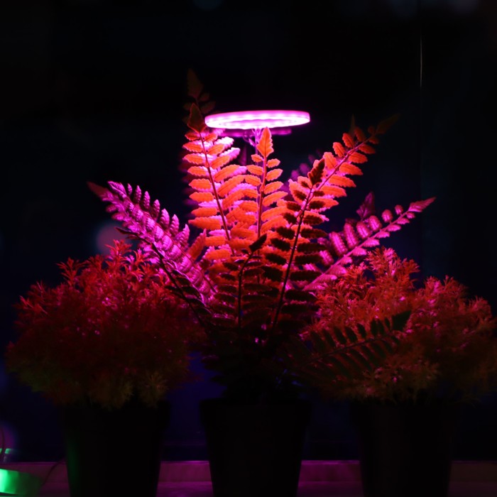 Изображение загружено