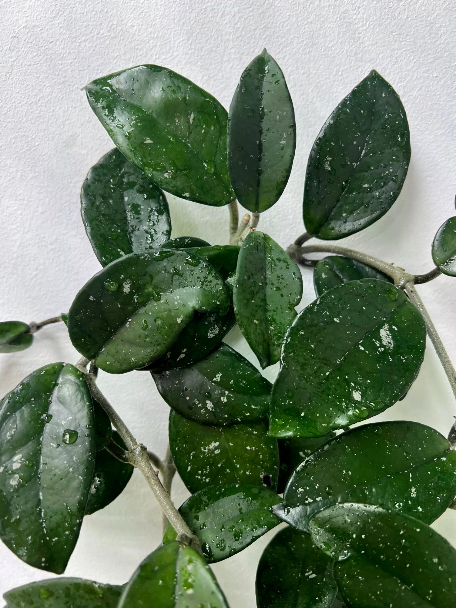 photo_2025-08-16_15-50-54