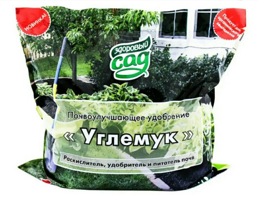 Изображение загружено