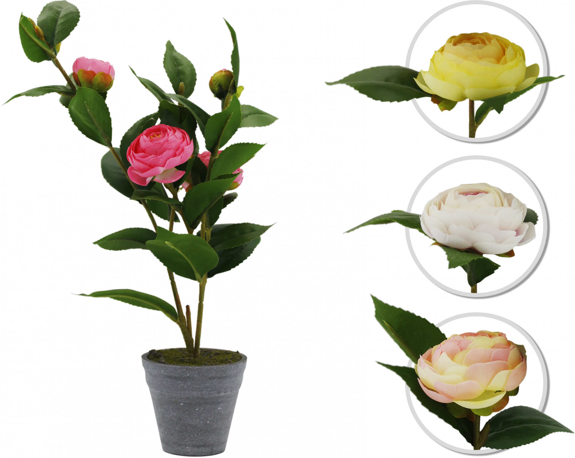 Изображение загружено