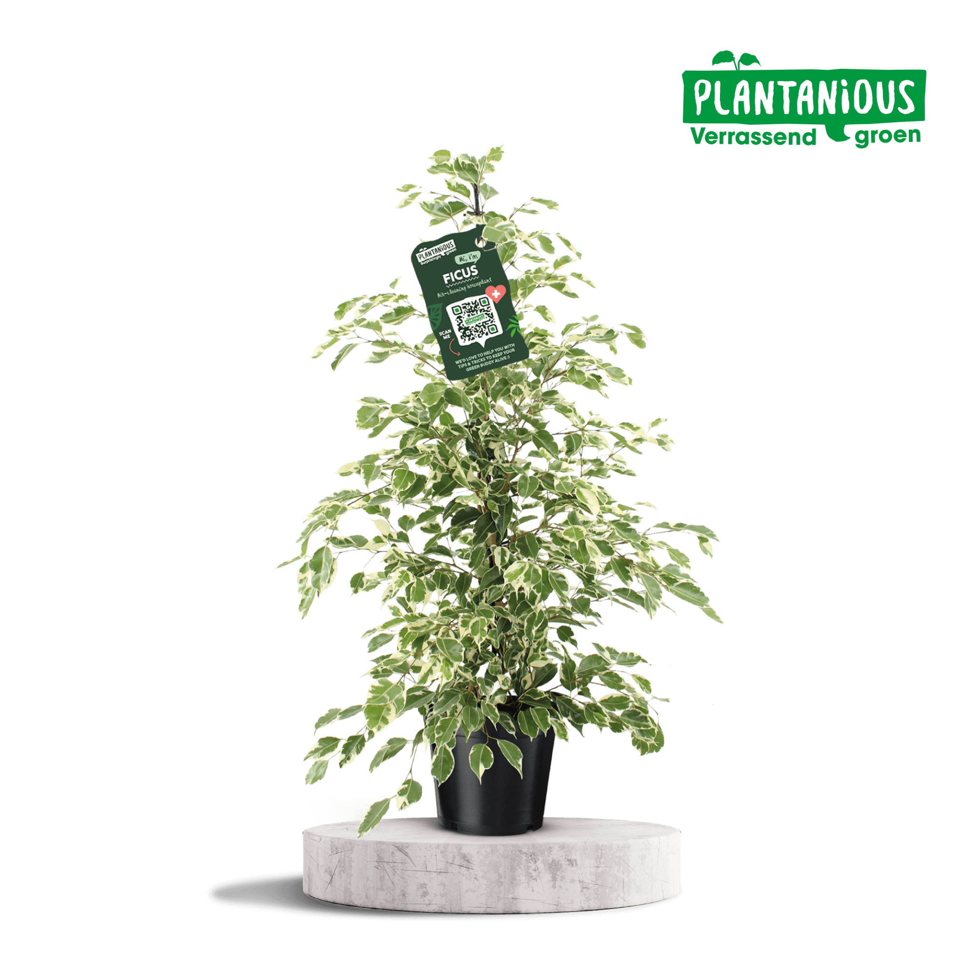 77843bd6-c96a-4202-950c-ffbdfa543df9