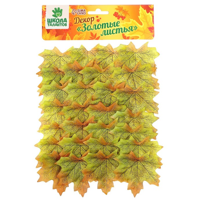 Изображение загружено