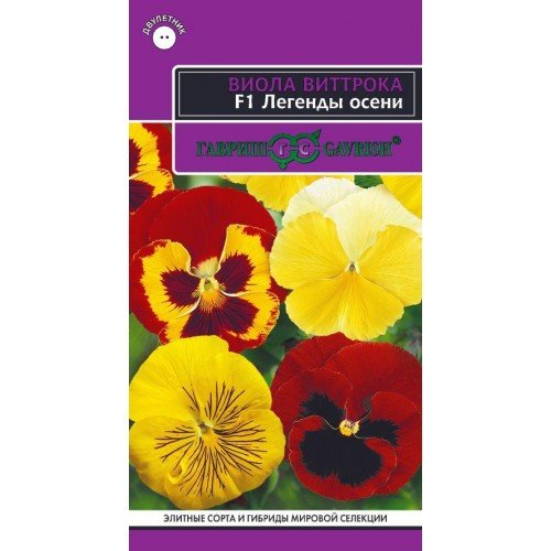 Изображение загружено