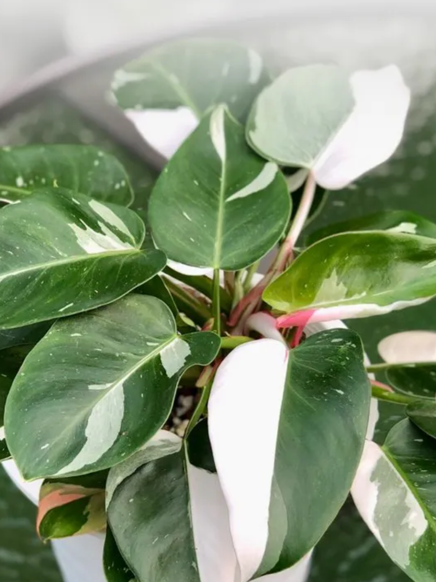 загрузка (15)