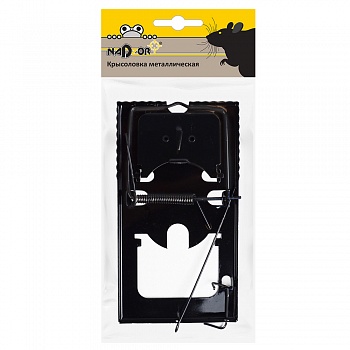 Изображение загружено