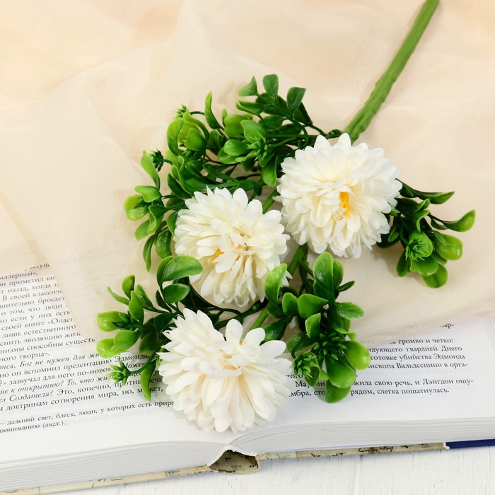 Изображение загружено