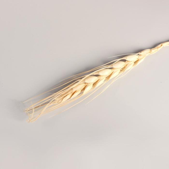 Изображение загружено