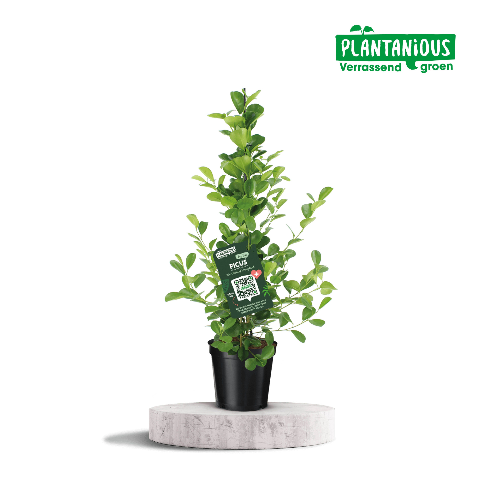 38b161d7-2877-48c1-a6e9-b17062f7b347