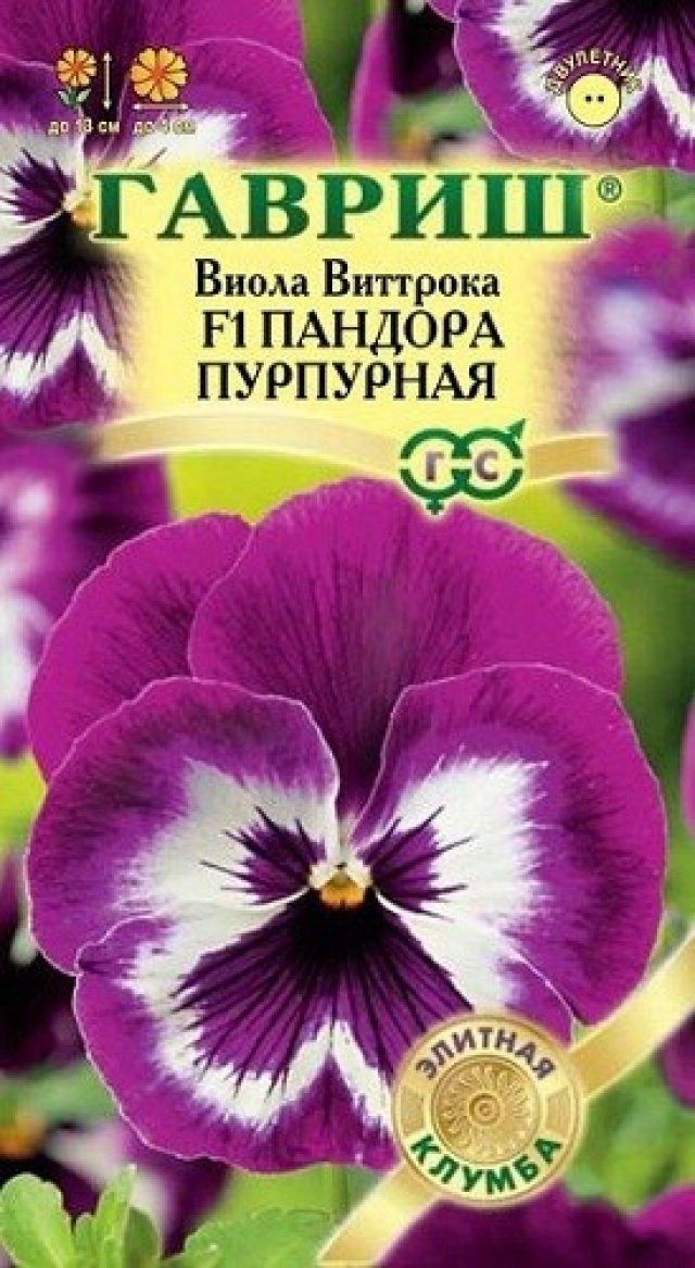 Изображение загружено