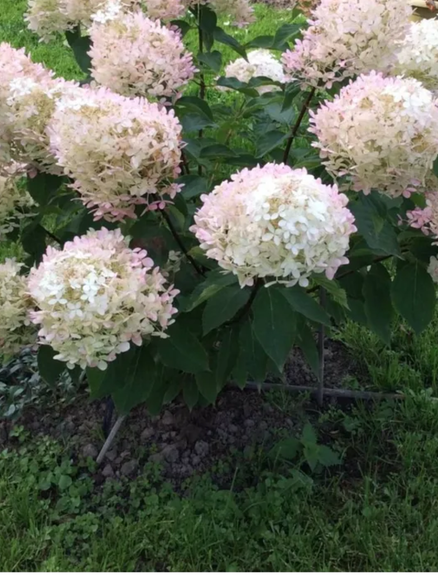 загрузка (1)