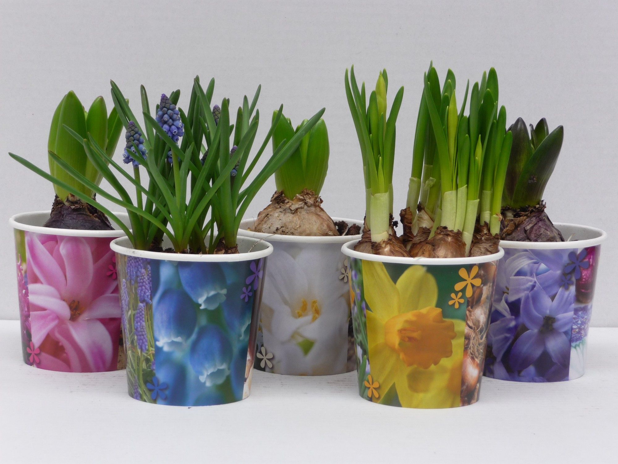 a0e4341d-e2f1-4fa5-bd82-fd3a42f5c345