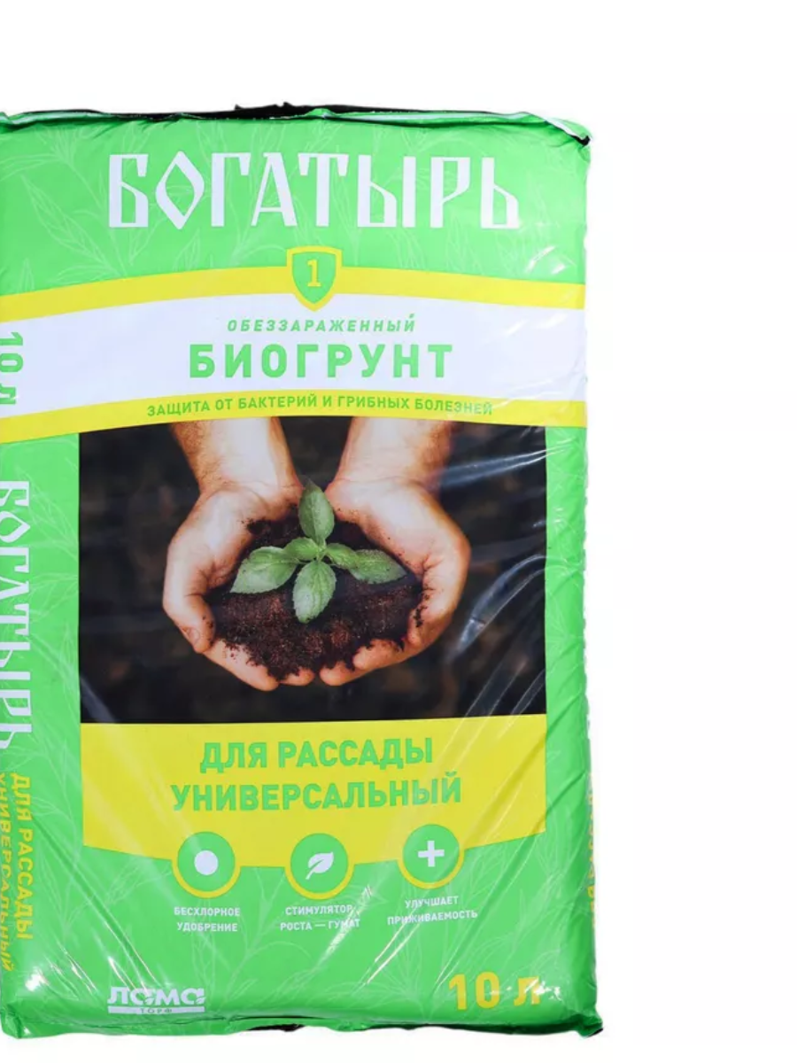 загрузка (7)