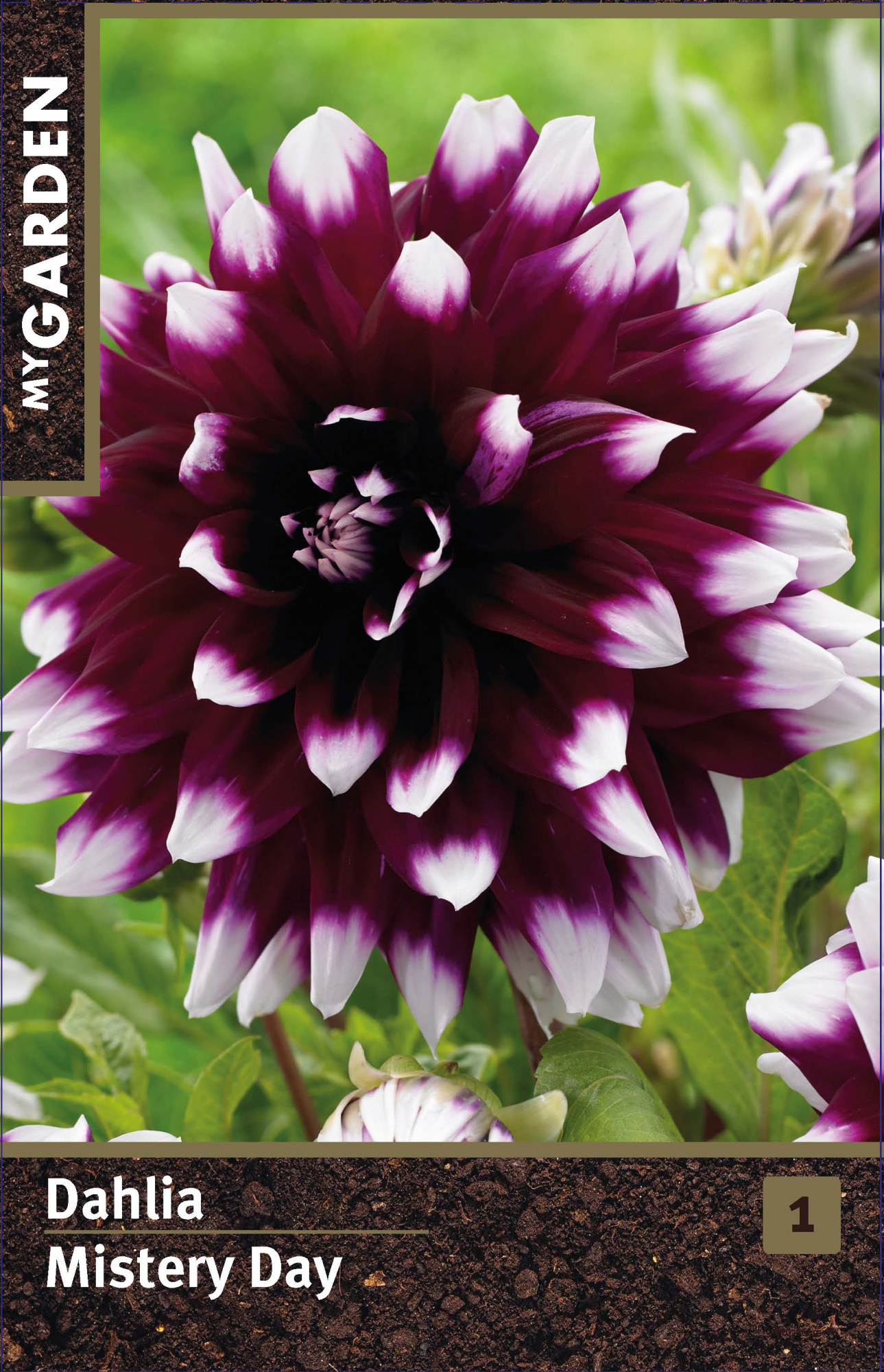 Изображение загружено