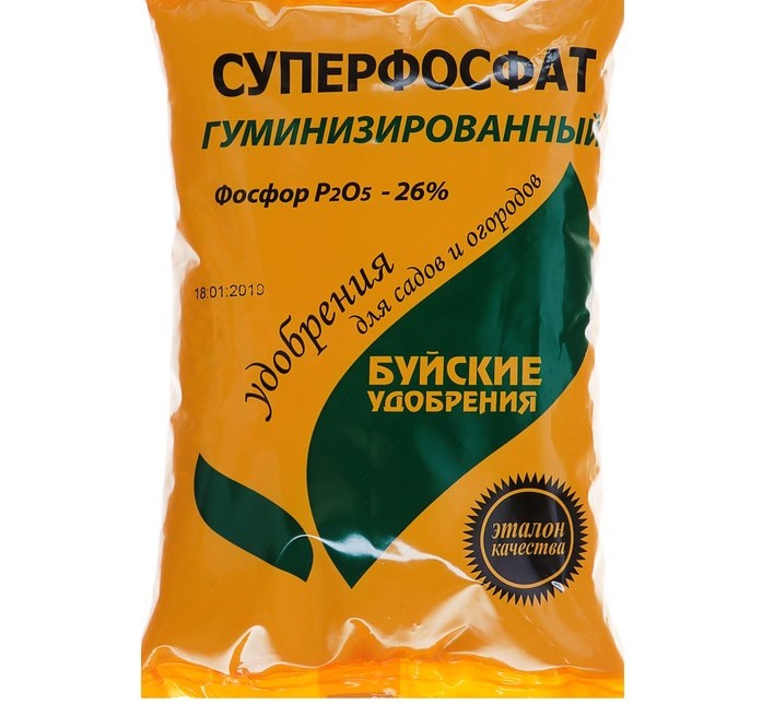 Изображение загружено