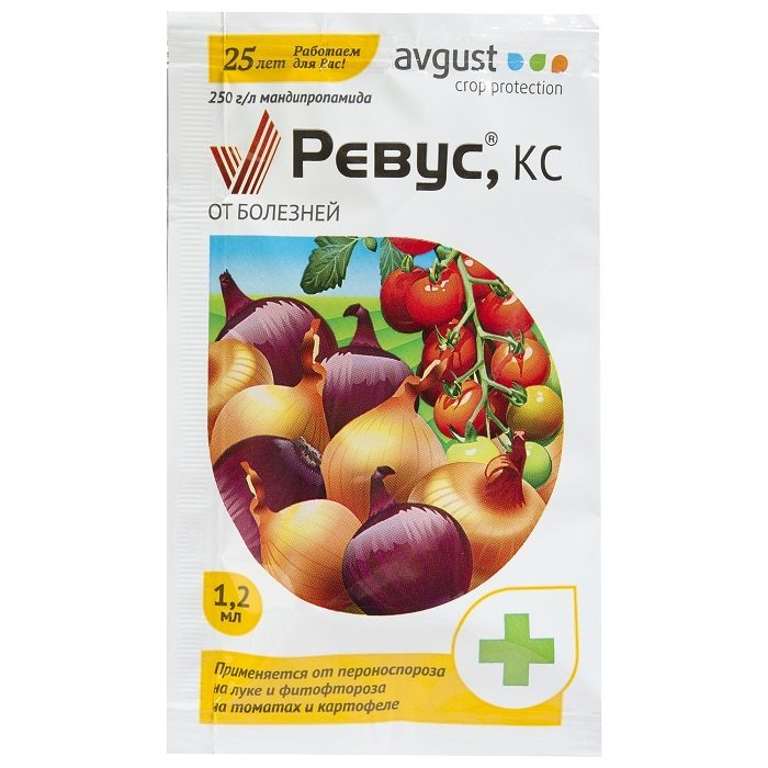 Изображение загружено