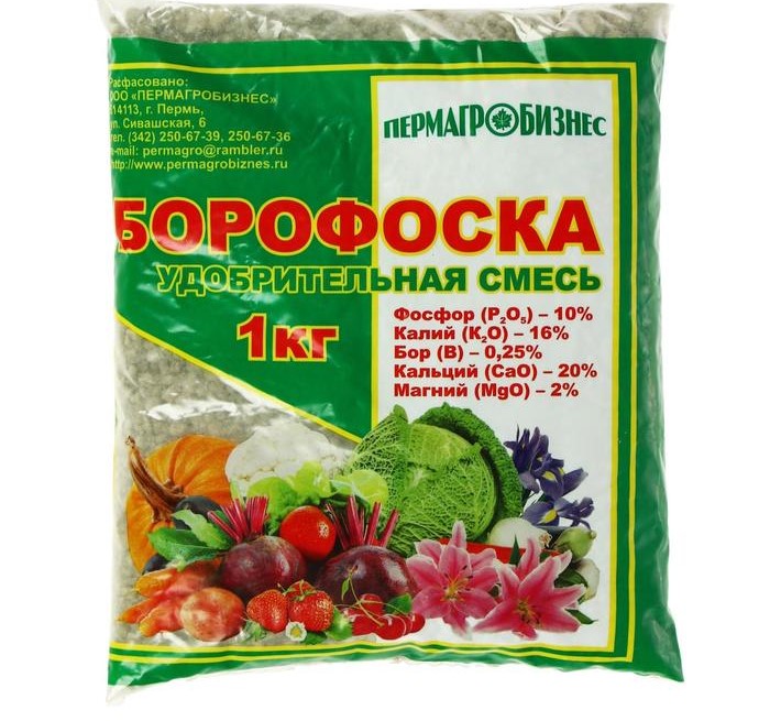 Изображение загружено