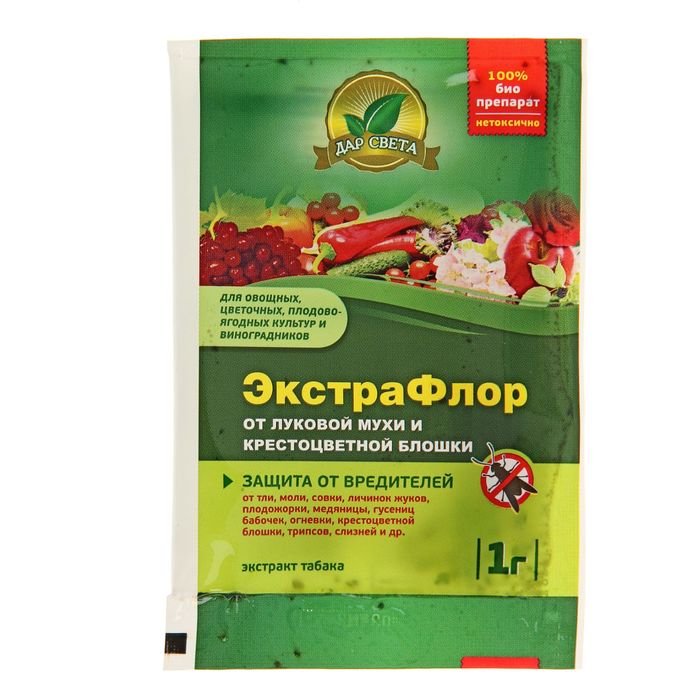 Изображение загружено