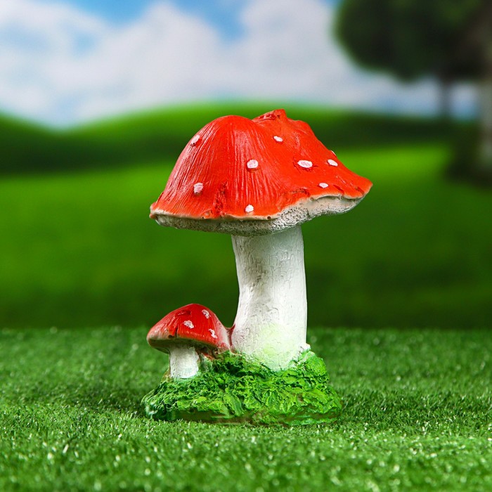 Изображение загружено