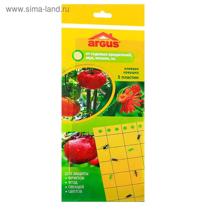 Изображение загружено