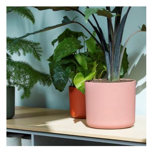 Изображение загружено