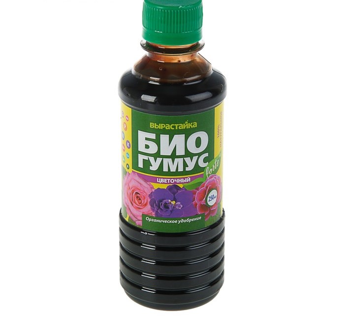 Изображение загружено