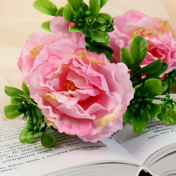 Изображение загружено